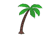 Palm Tree, Waving