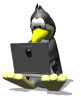 Penguin Typing